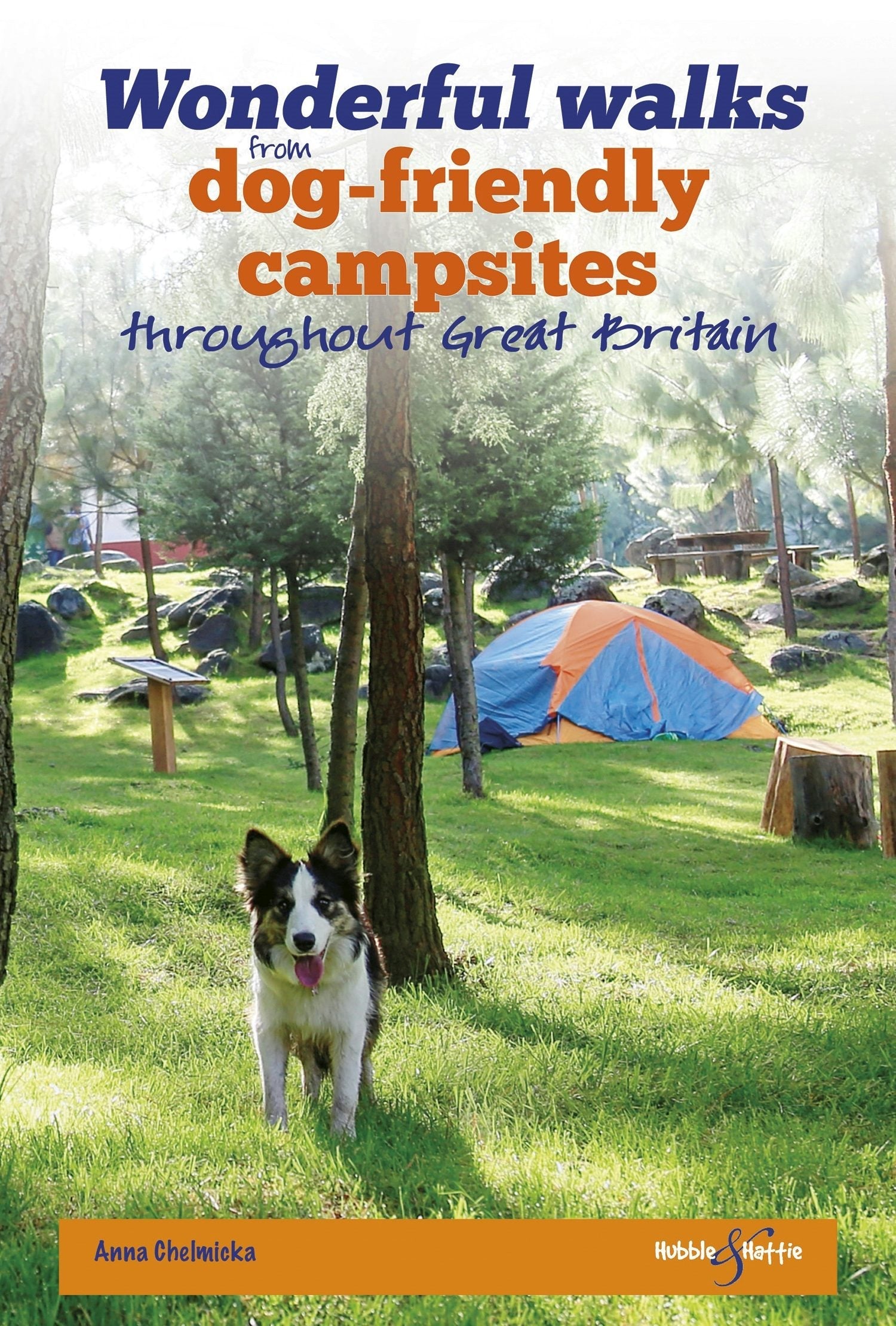 Book cover image for Wonderful walks from Dog-friendly campsites throughout Great Britain ISBN: 9781787115316