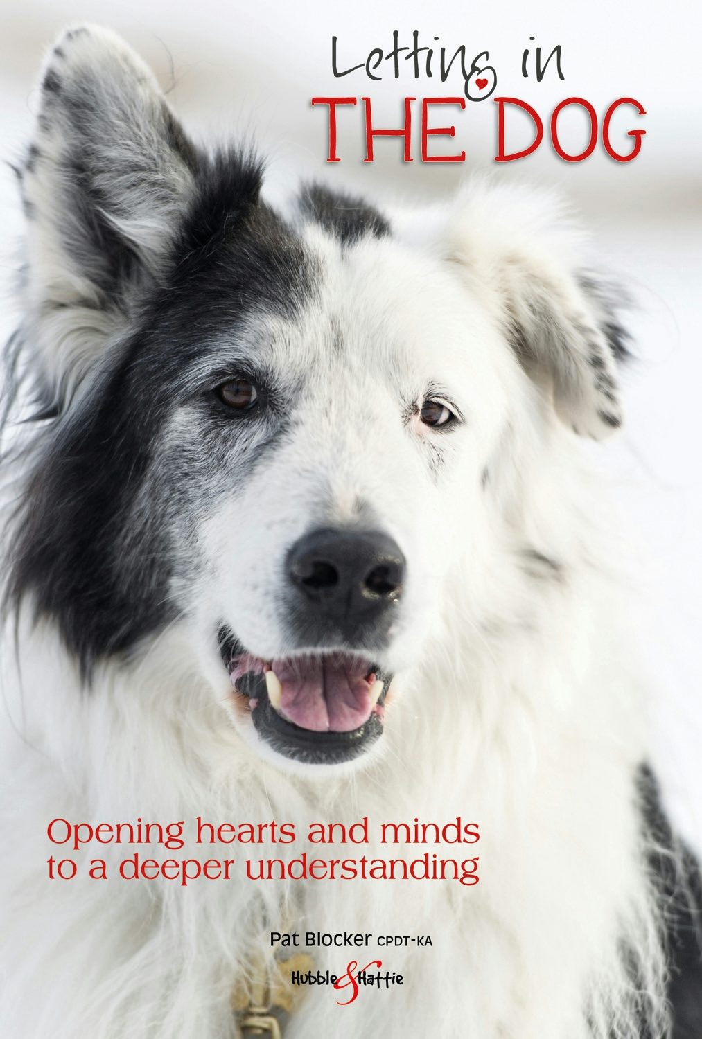 Book cover image for Letting in the dog ISBN: 9781787116214