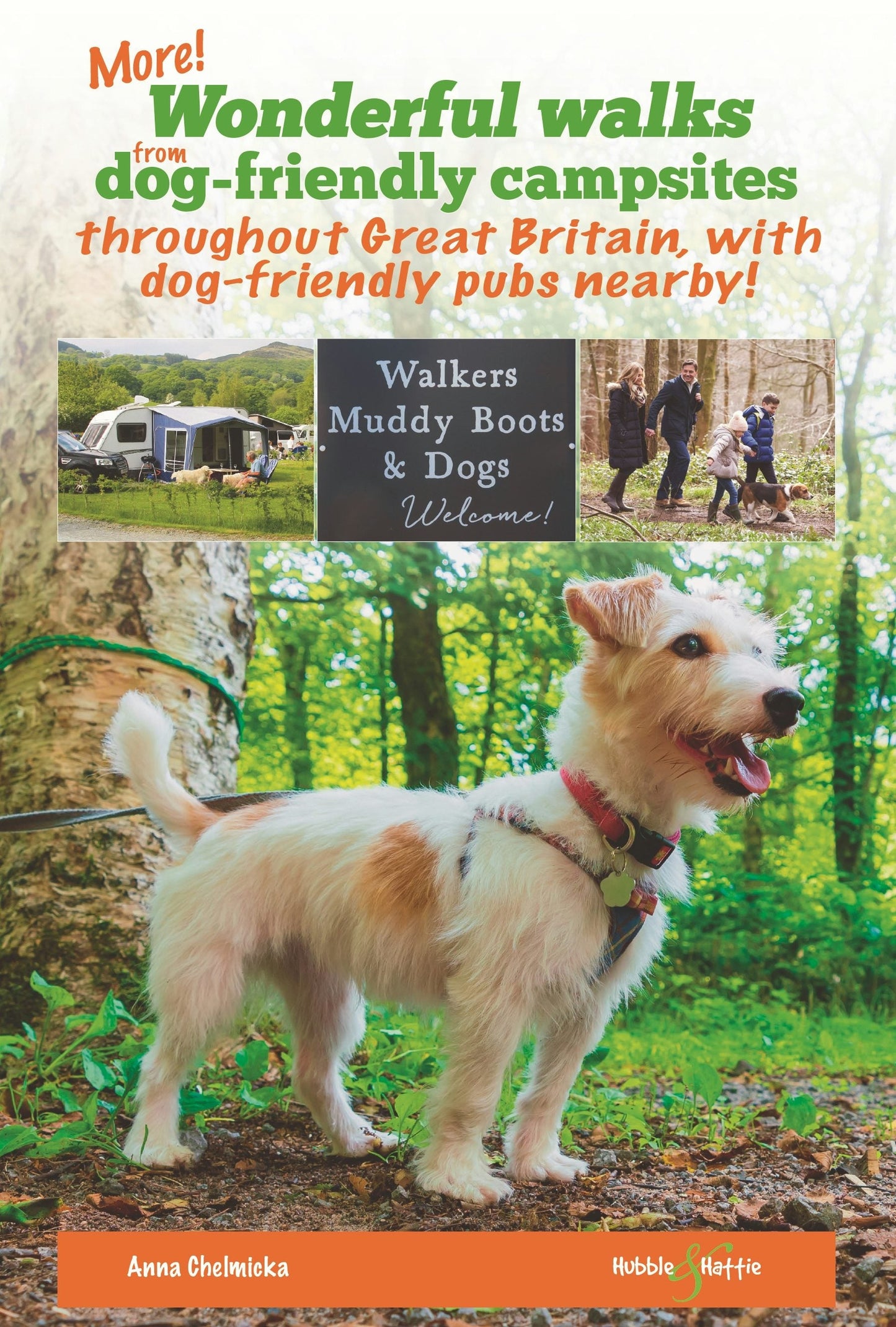 Book cover image for More wonderful walks from dog-friendly campsites throughout Great Britain ... ISBN: 9781787117211