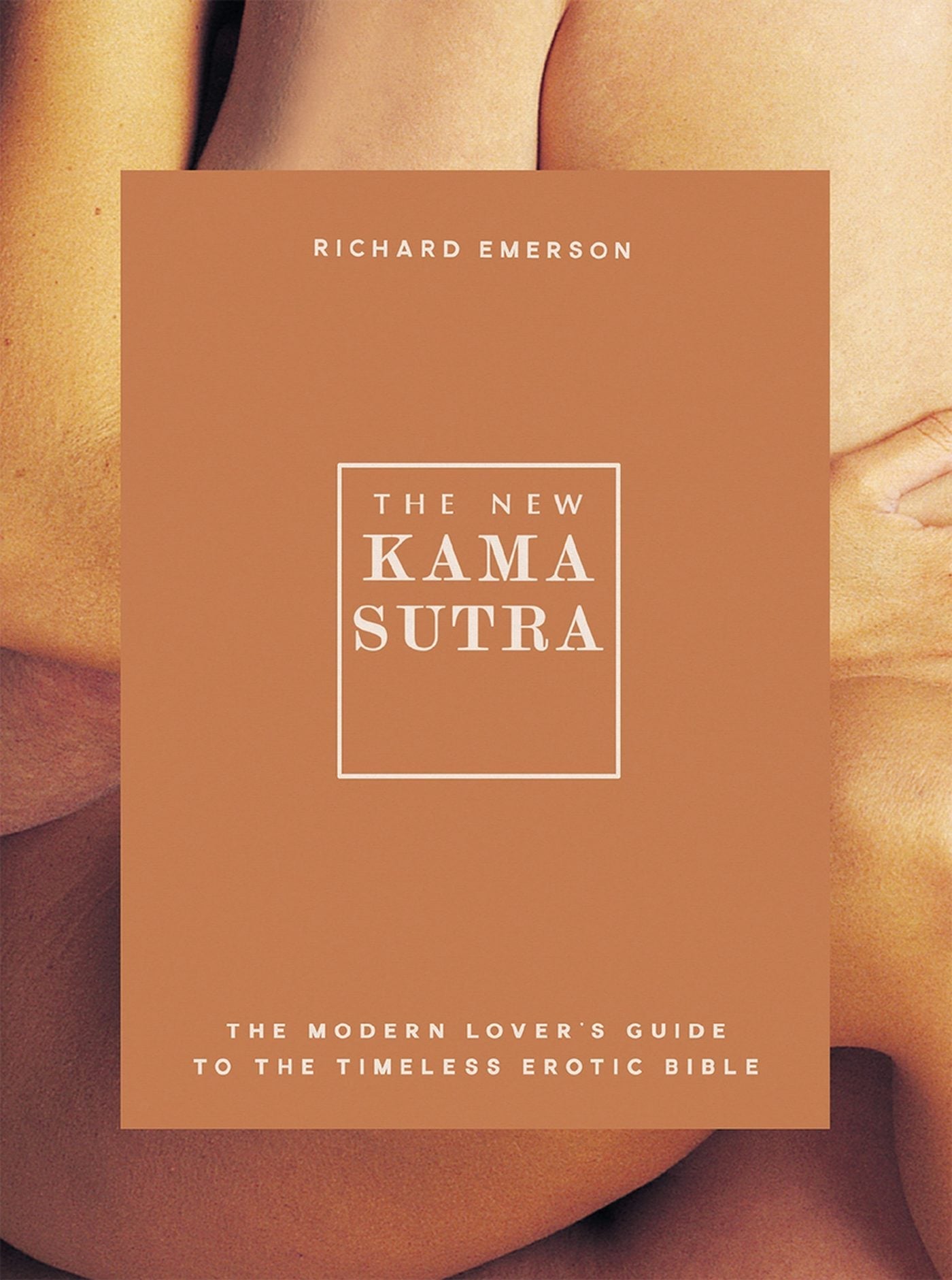 Book cover image for The New Kama Sutra ISBN: 9781787392243
