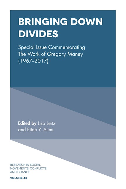 Book cover image for Bringing Down Divides ISBN: 9781787694064