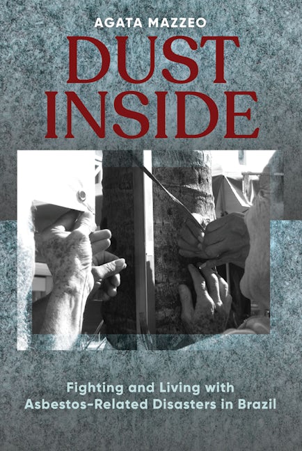Book cover image for Dust Inside ISBN: 9781789209310