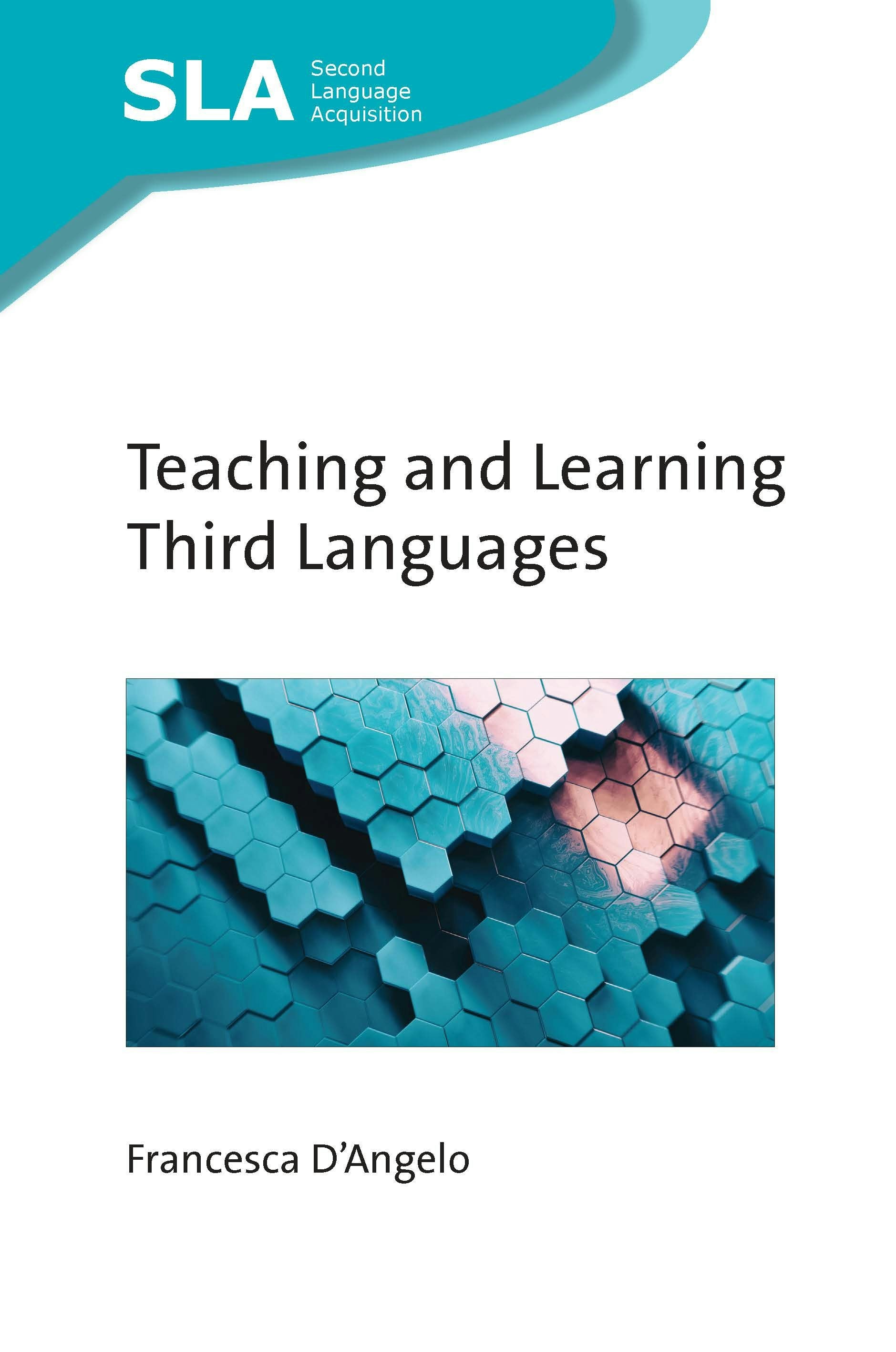 Book cover image for Teaching and Learning Third Languages ISBN: 9781800413078