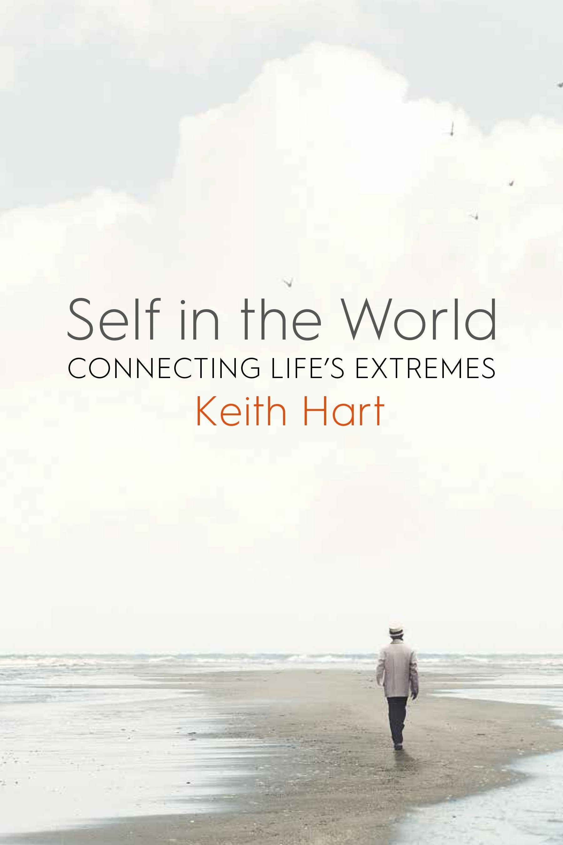 Book cover image for Self in the World ISBN: 9781800734227