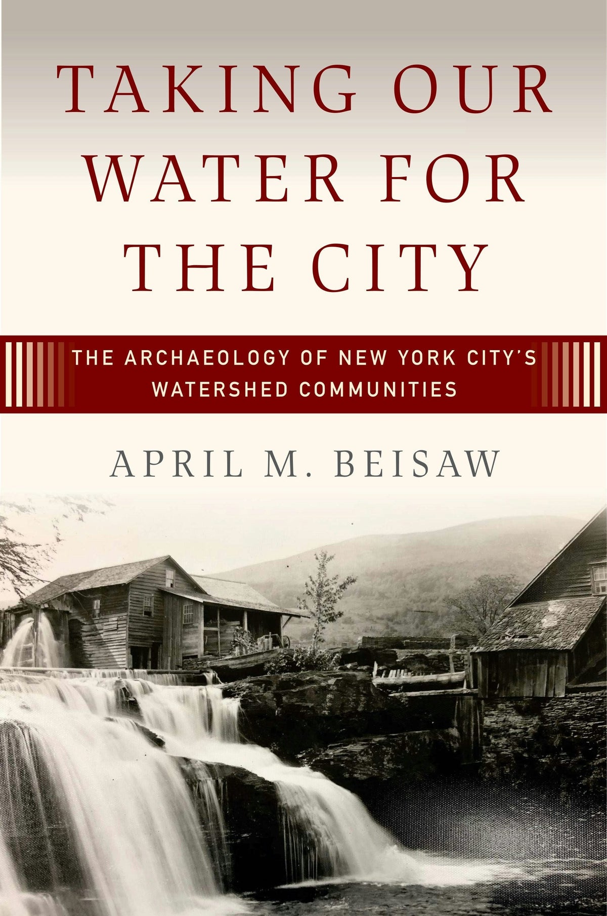 Cover image for Taking Our Water for the City ISBN 9781807581480