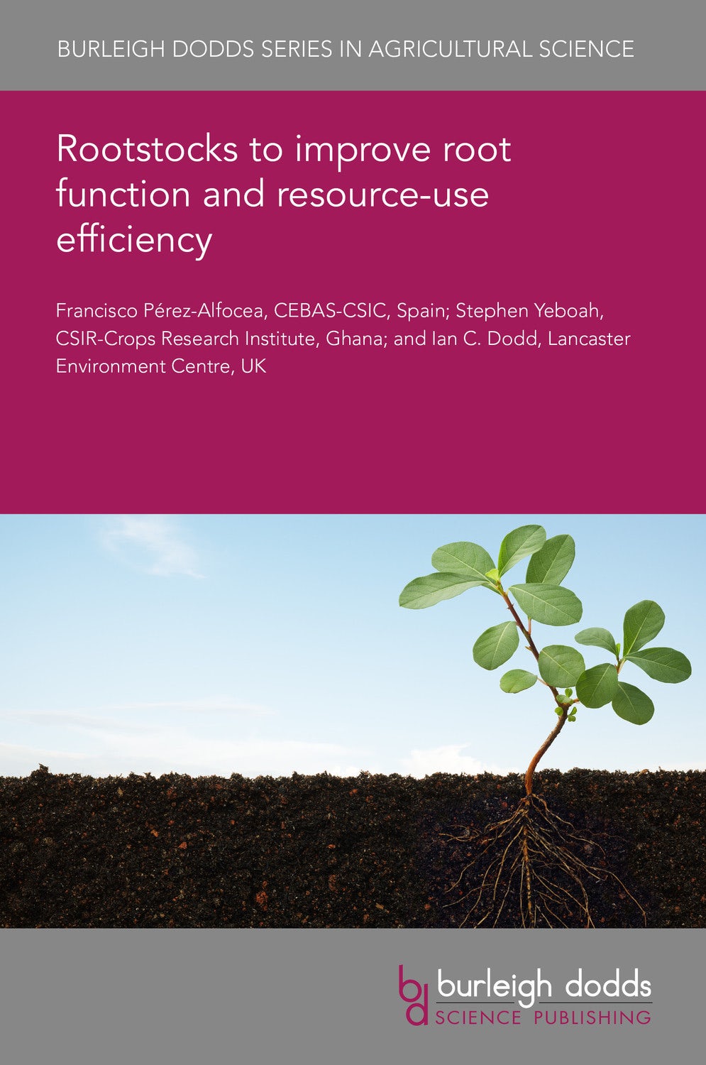 Book cover image for Rootstocks to improve root function and resource-use efficiency ISBN: 9781801460064