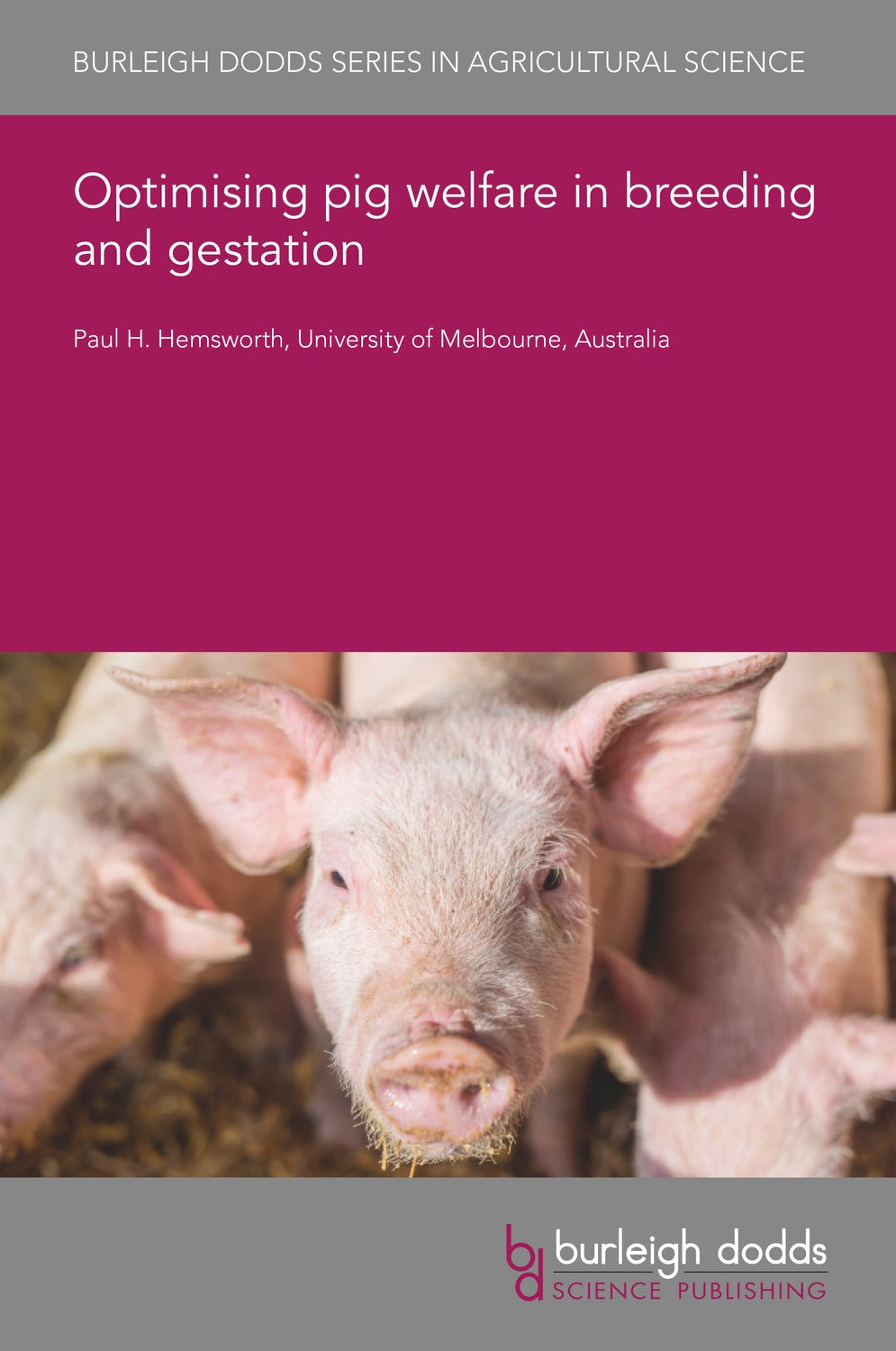 Book cover image for Optimising pig welfare in breeding and gestation ISBN: 9781801460248
