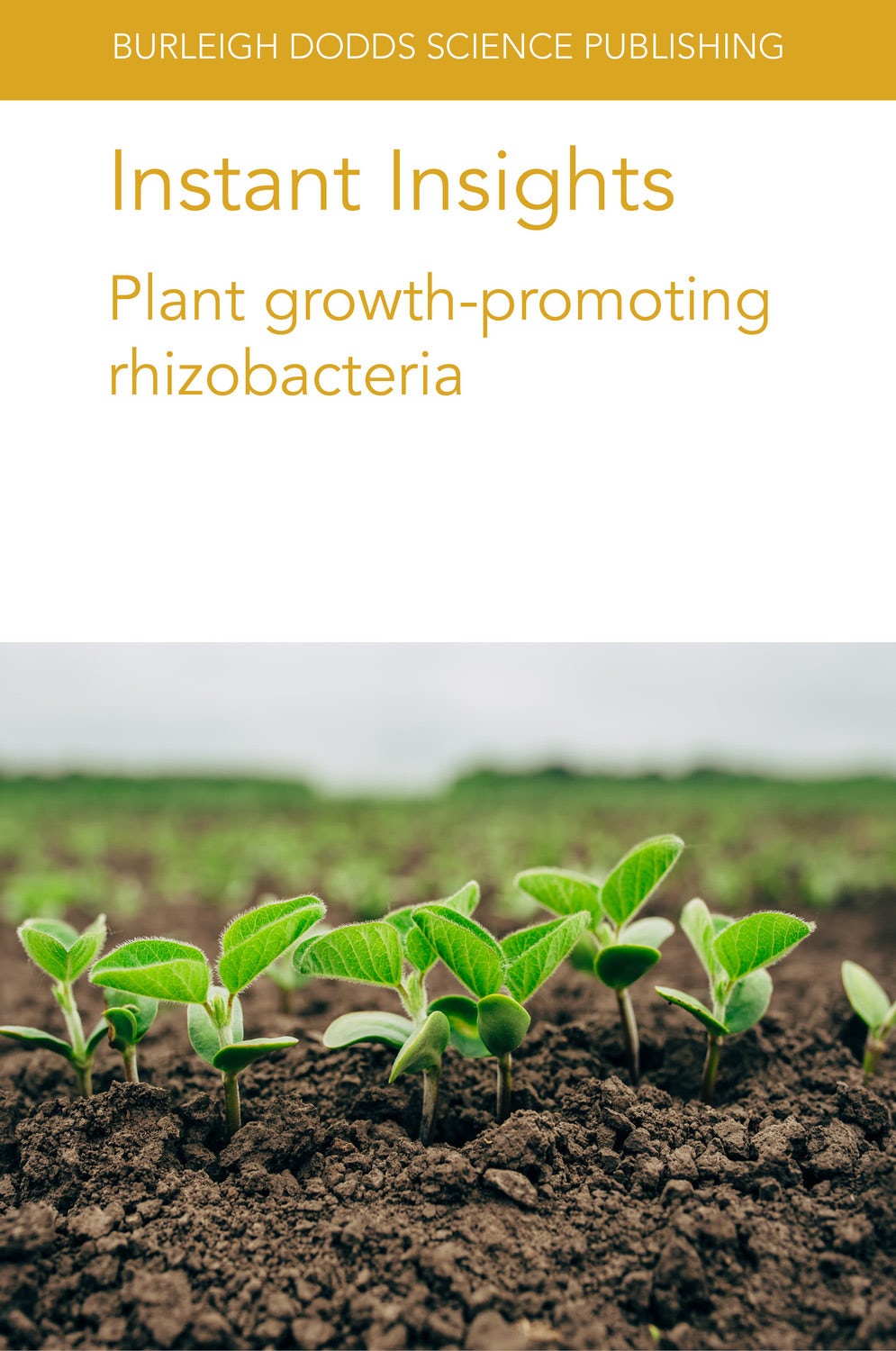 Book cover image for Instant Insights: Plant growth-promoting rhizobacteria ISBN: 9781801460637