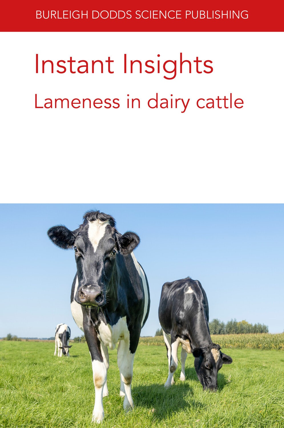 Book cover image for Instant Insights: Lameness in dairy cattle ISBN: 9781801460811