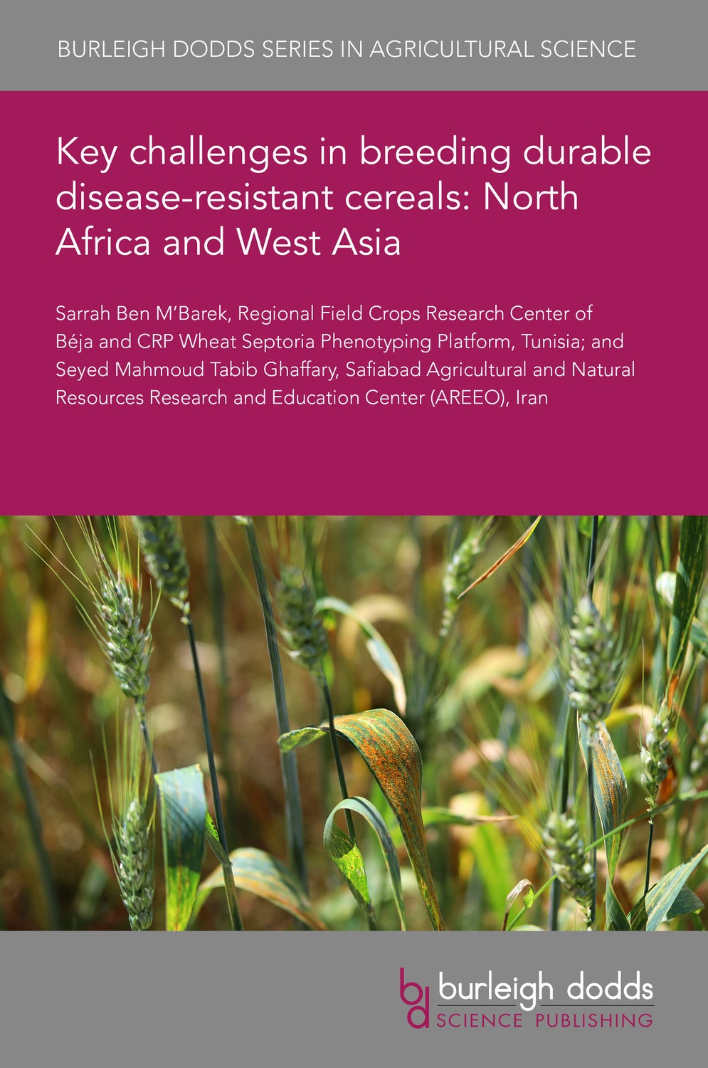 Book cover image for Key challenges in breeding durable disease-resistant cereals: North Africa and West Asia ISBN: 9781801463102