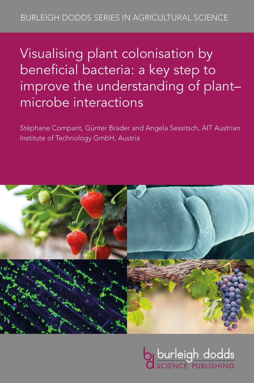 Book cover image for Visualising plant colonisation by beneficial bacteria: a key step to improve the understanding of plant–microbe interactions ISBN: 9781801463294
