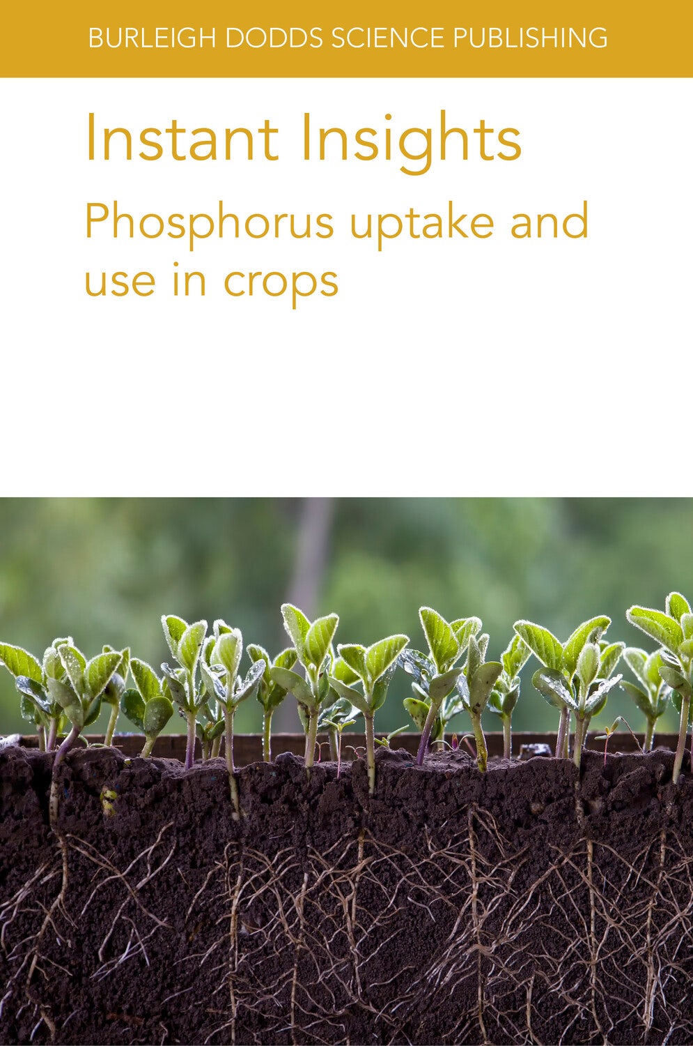 Book cover image for Instant Insights: Phosphorus uptake and use in crops ISBN: 9781801466097