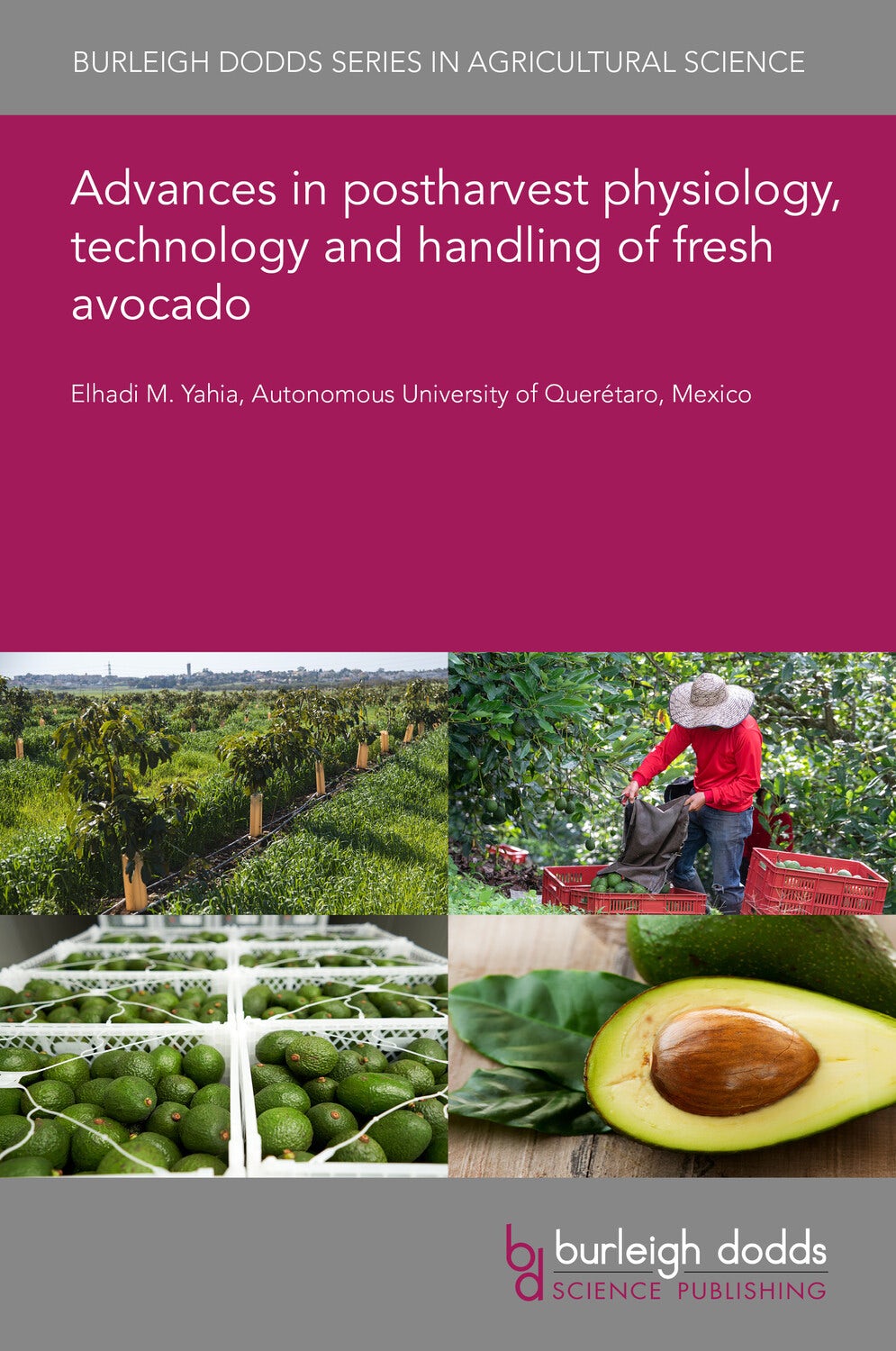 Book cover image for Advances in postharvest physiology, technology and handling of fresh avocado ISBN: 9781801468275