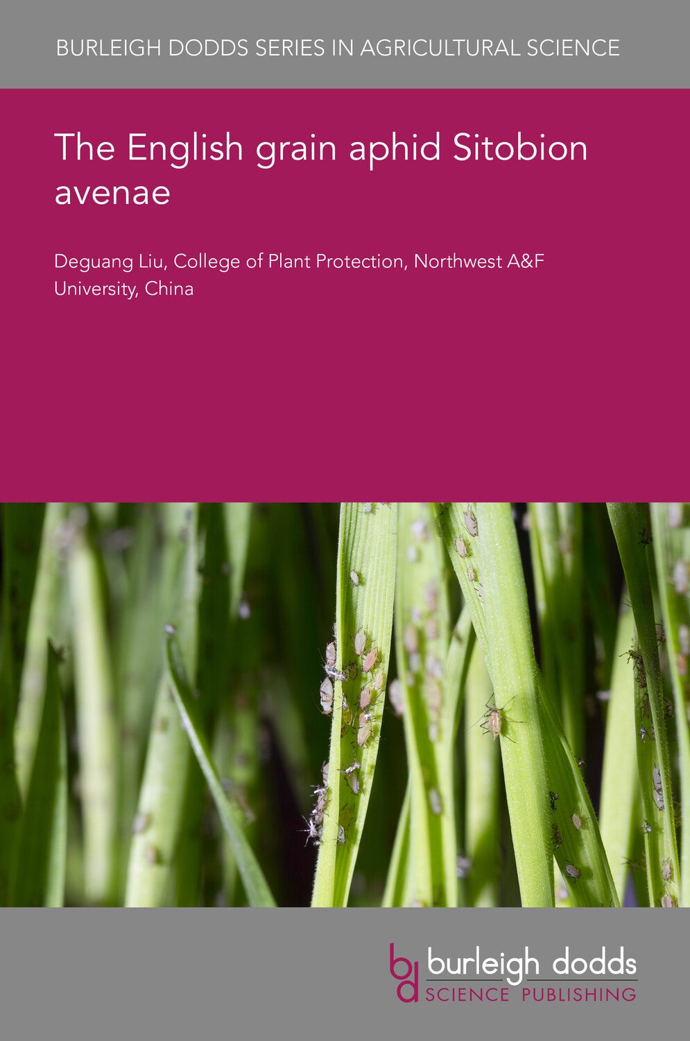 Book cover image for The English grain aphid Sitobion avenae ISBN: 9781801468534
