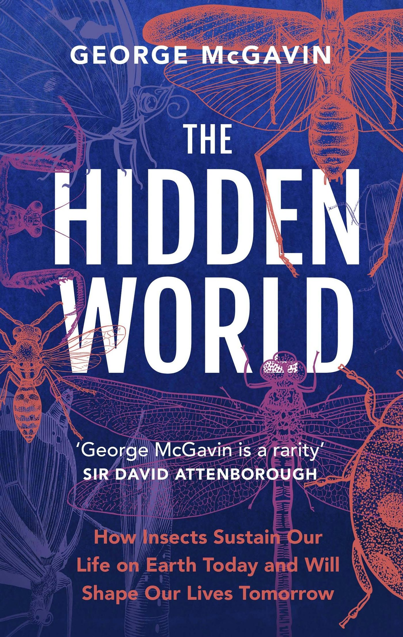 Book cover image for The Hidden World ISBN: 9781802794939
