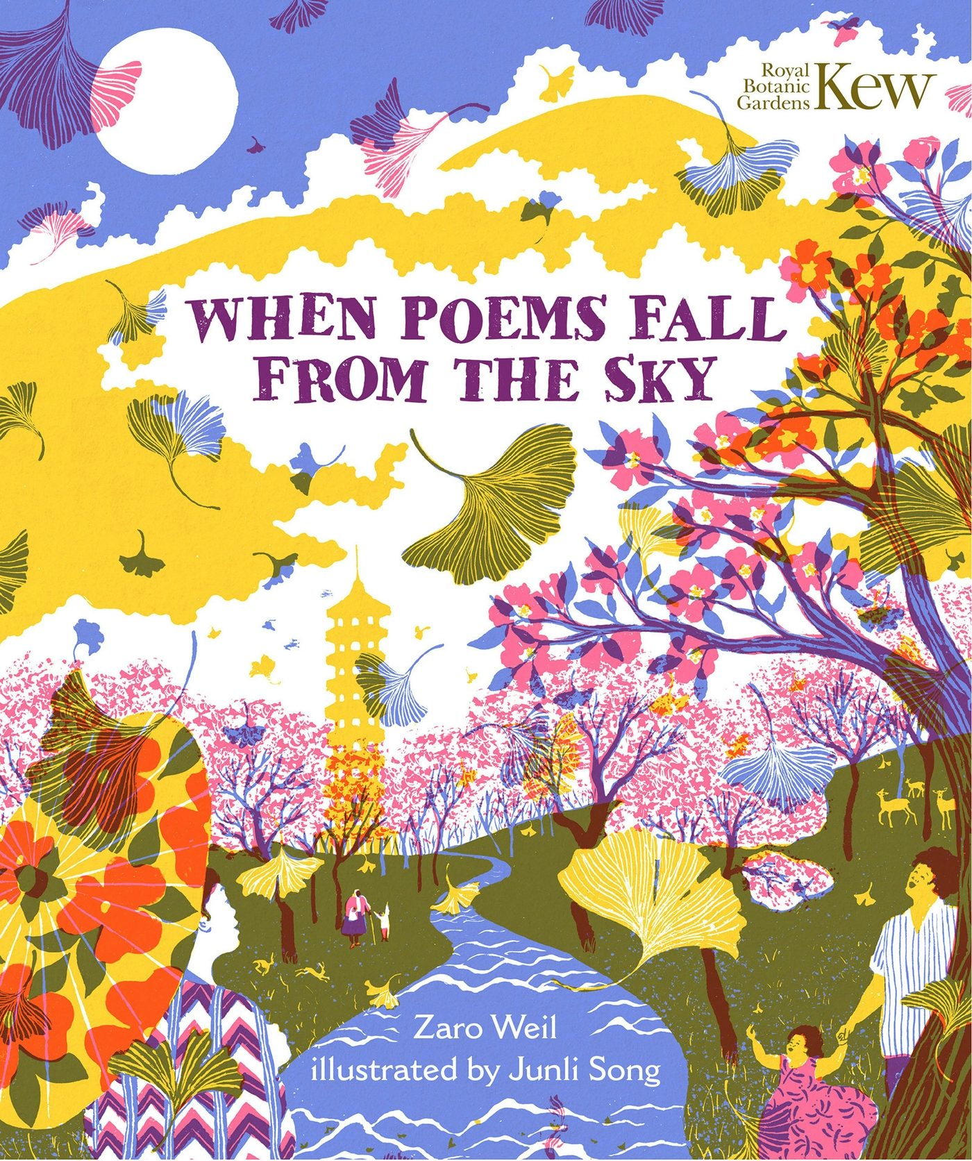 Book cover image for When Poems Fall From the Sky ISBN: 9781803380599