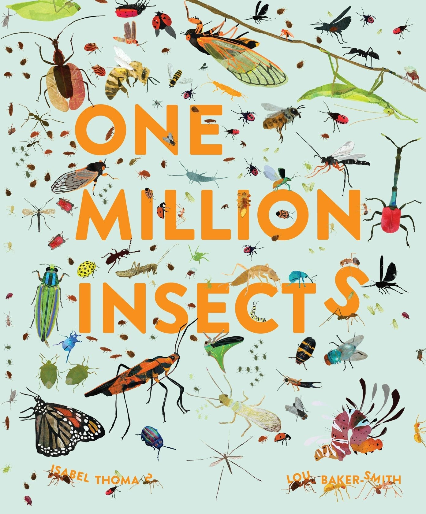 Book cover image for One Million Insects ISBN: 9781803381824