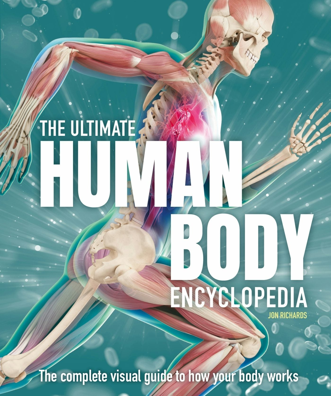 Book cover image for The Ultimate Human Body Encyclopedia ISBN: 9781804535035