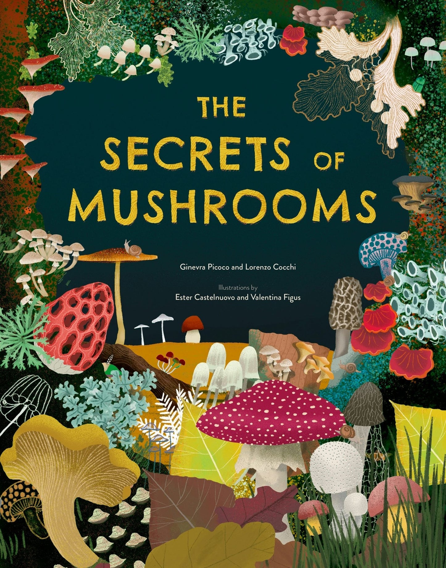 Book cover image for The Secrets of Mushrooms ISBN: 9781804538739