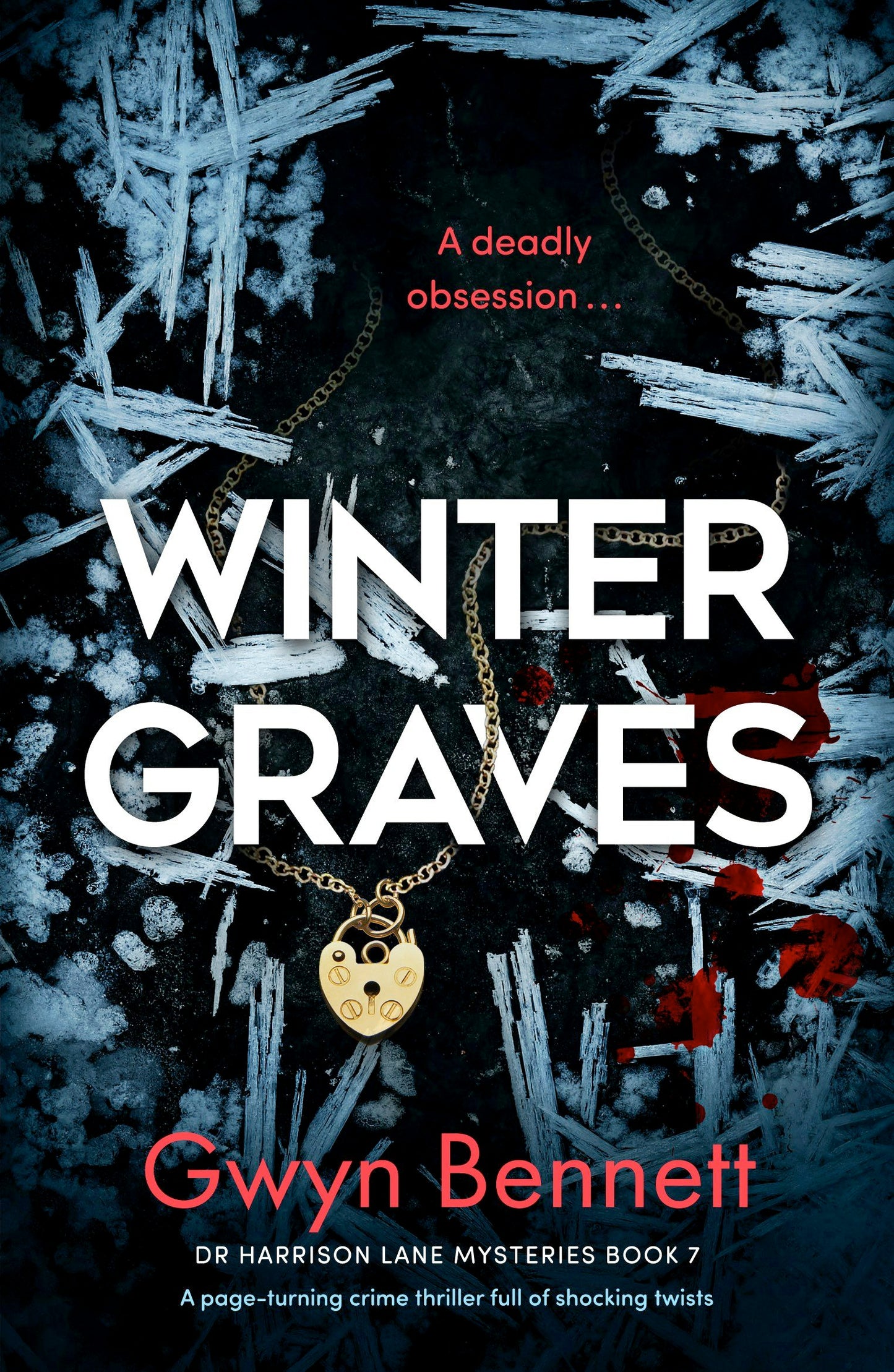 Book cover image for Winter Graves ISBN: 9781805080060