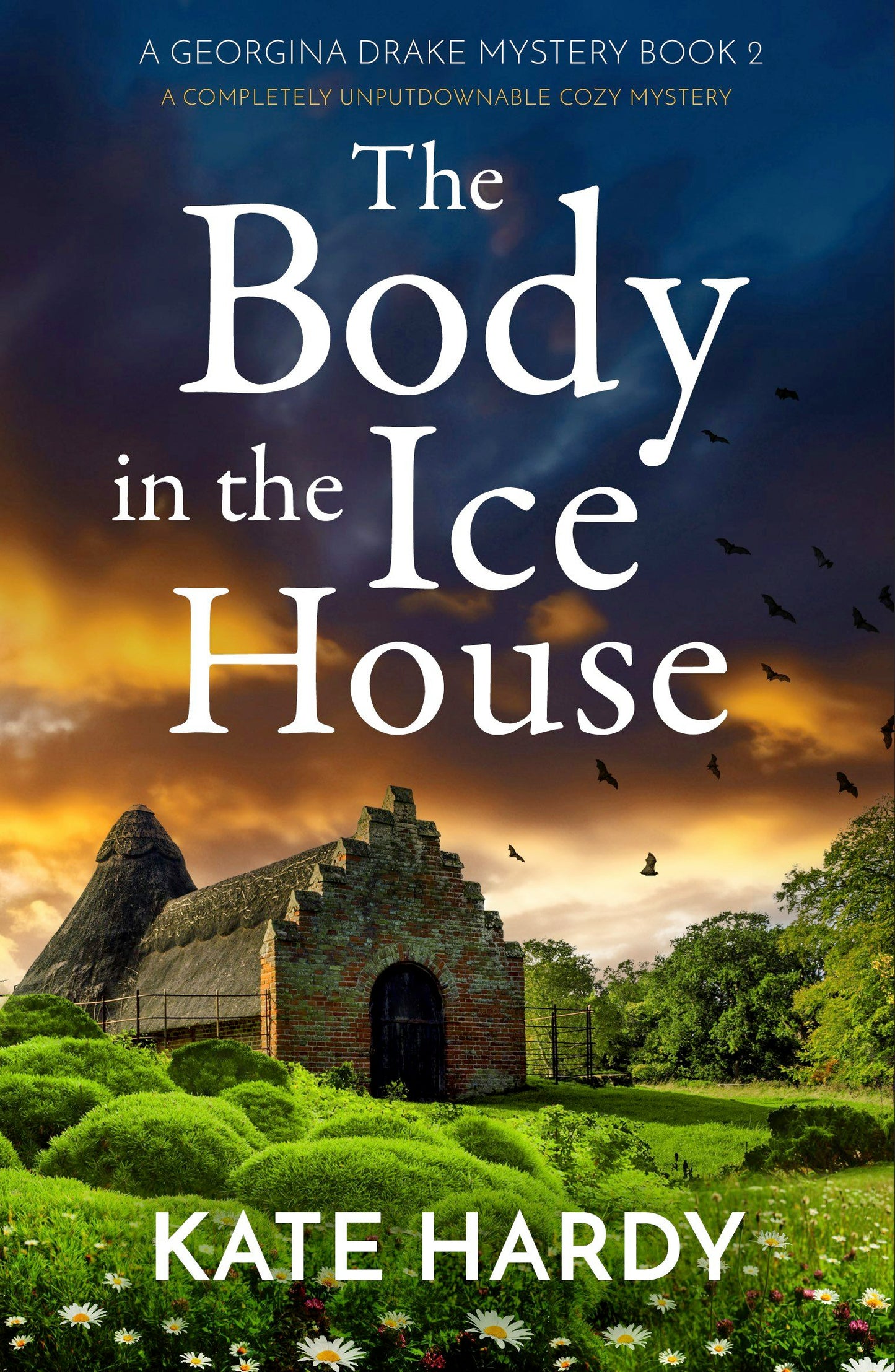 Book cover image for The Body in the Ice House ISBN: 9781805080909