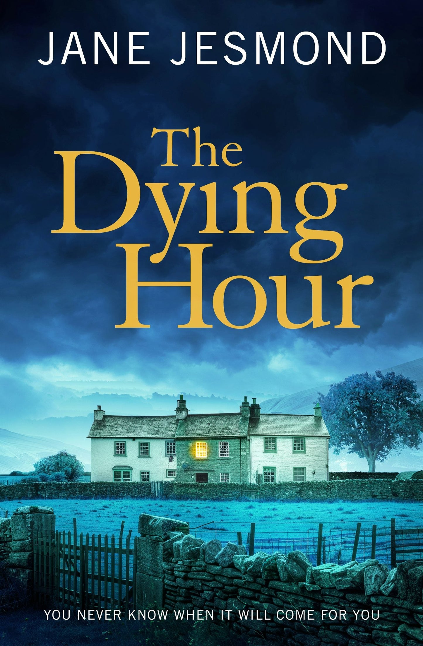 Book cover image for The Dying Hour ISBN: 9781805081678