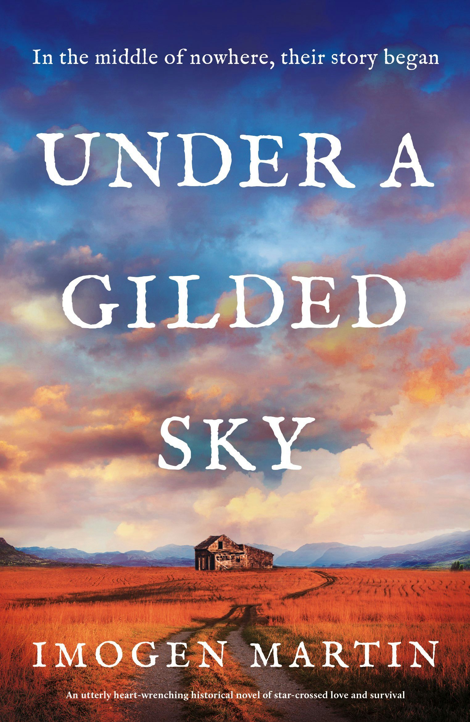 Book cover image for Under a Gilded Sky ISBN: 9781805081739
