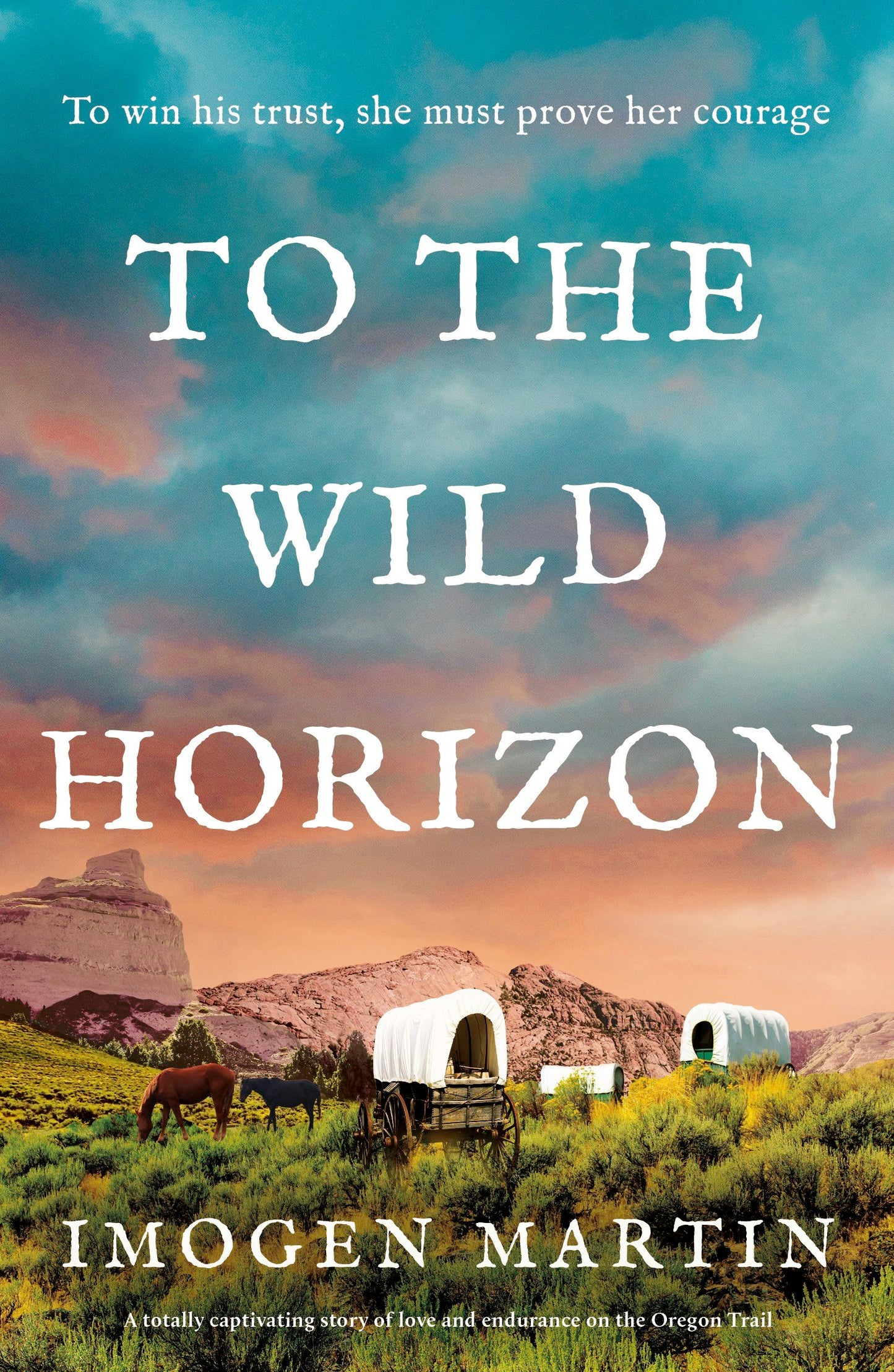 Book cover image for To the Wild Horizon ISBN: 9781805081760
