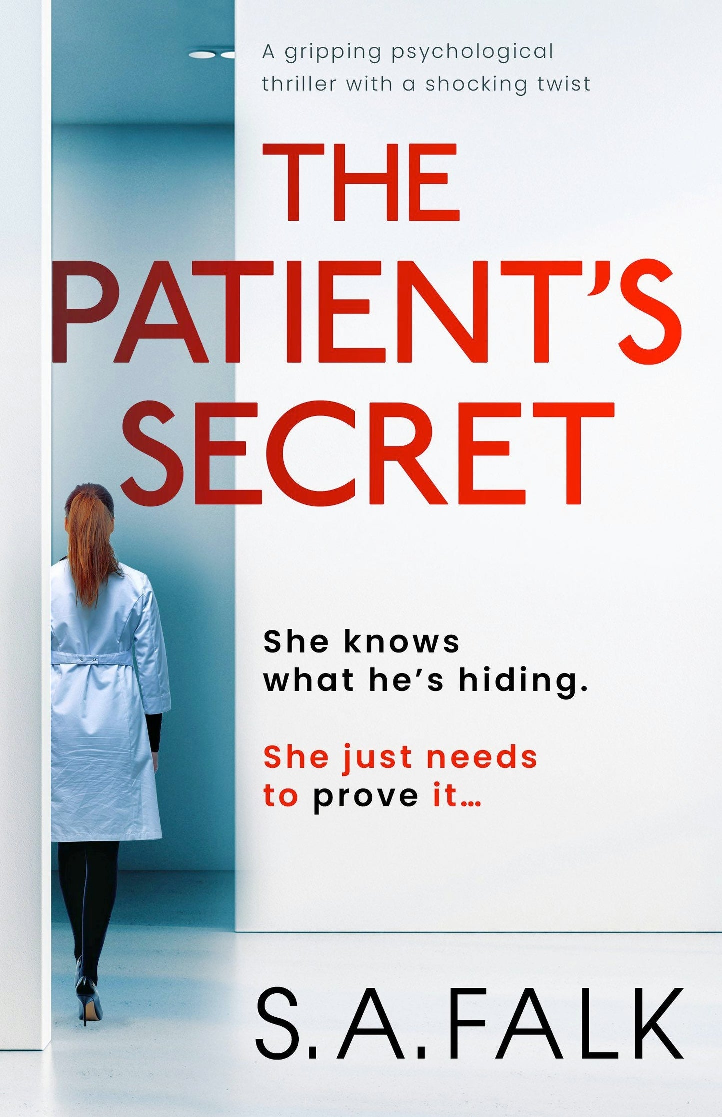 Book cover image for The Patient's Secret ISBN: 9781805081852