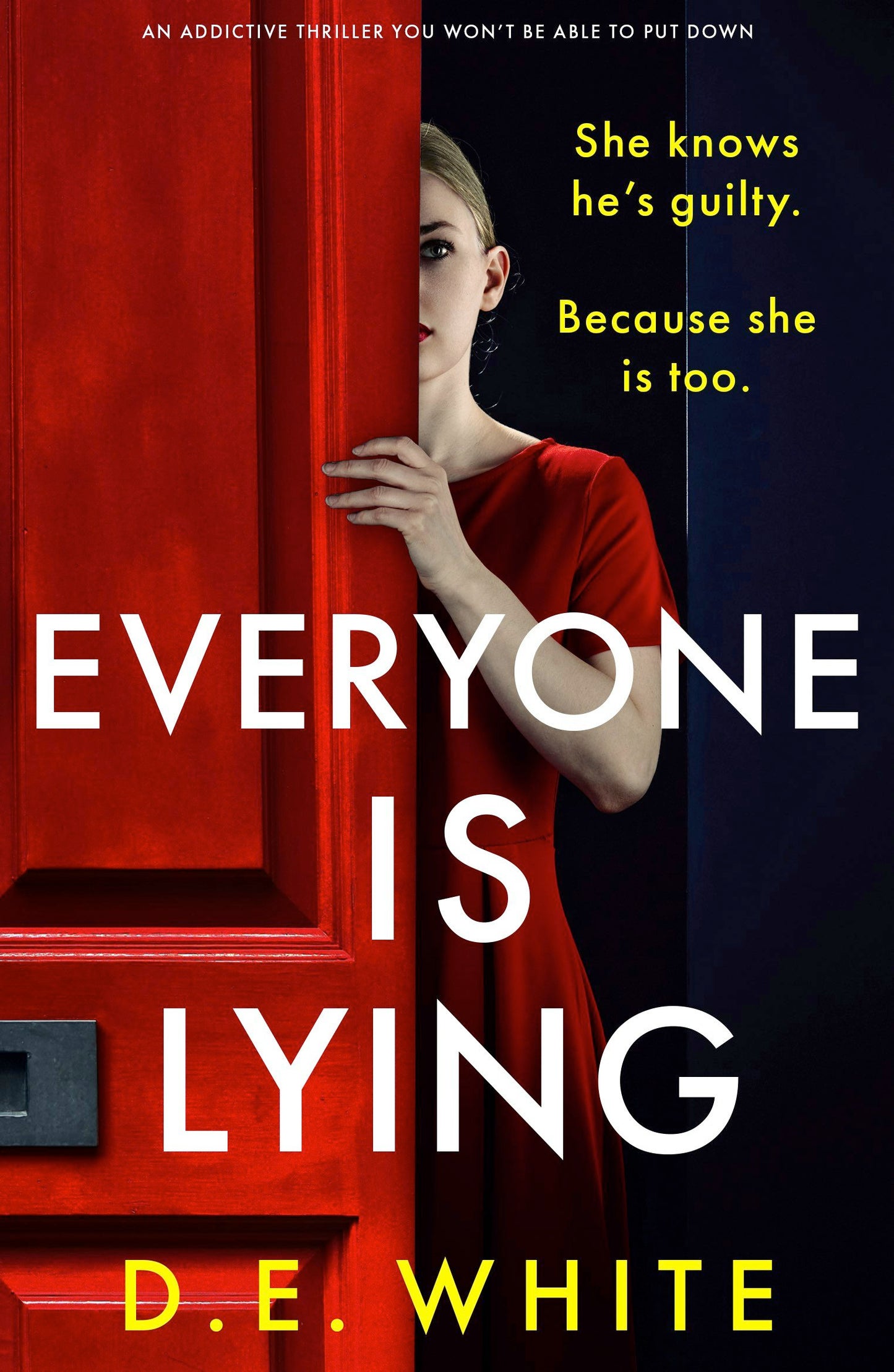 Book cover image for Everyone Is Lying ISBN: 9781805082156