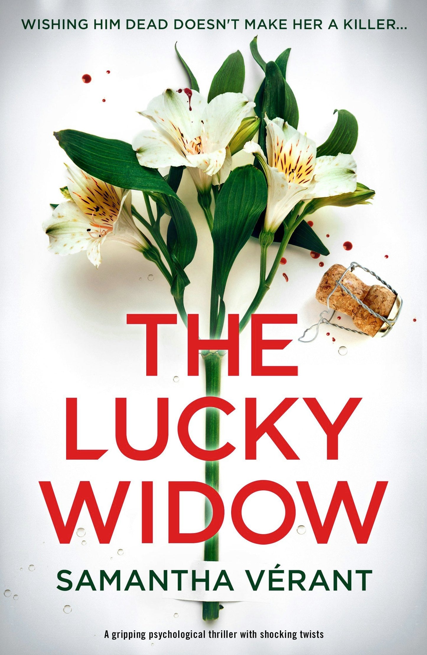Book cover image for The Lucky Widow ISBN: 9781805086437