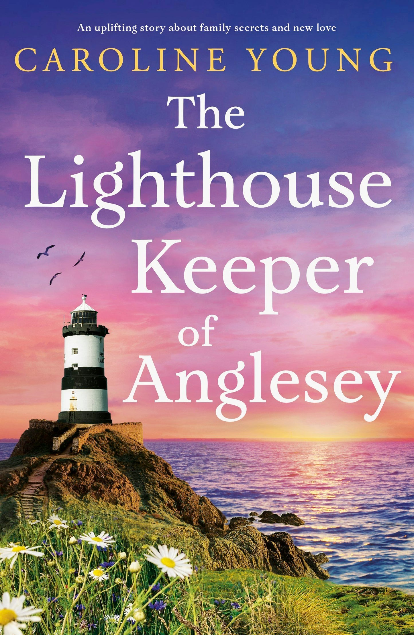 Book cover image for The Lighthouse Keeper of Anglesey ISBN: 9781805089148