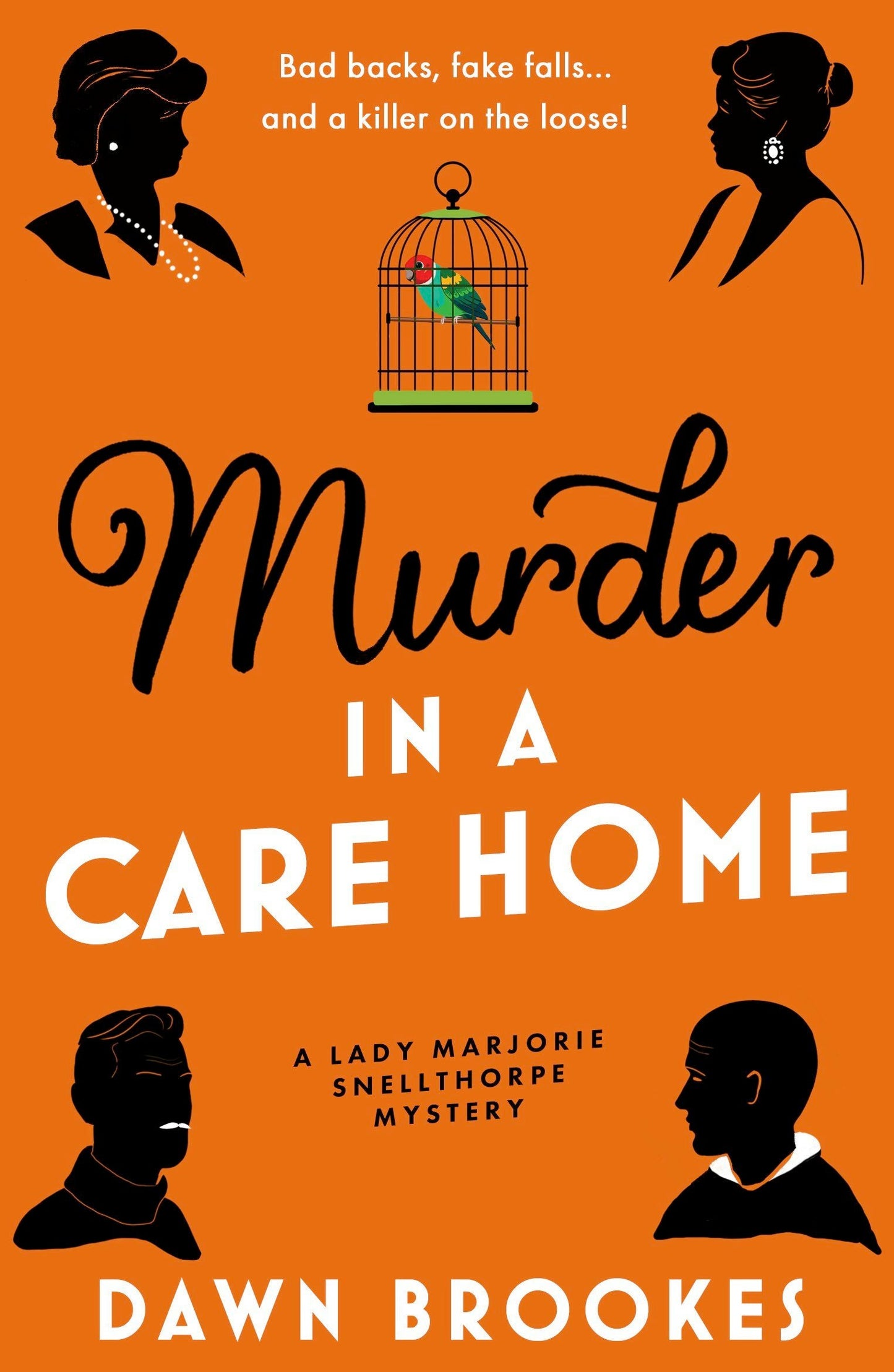 Book cover image for Murder in a Care Home ISBN: 9781805089445