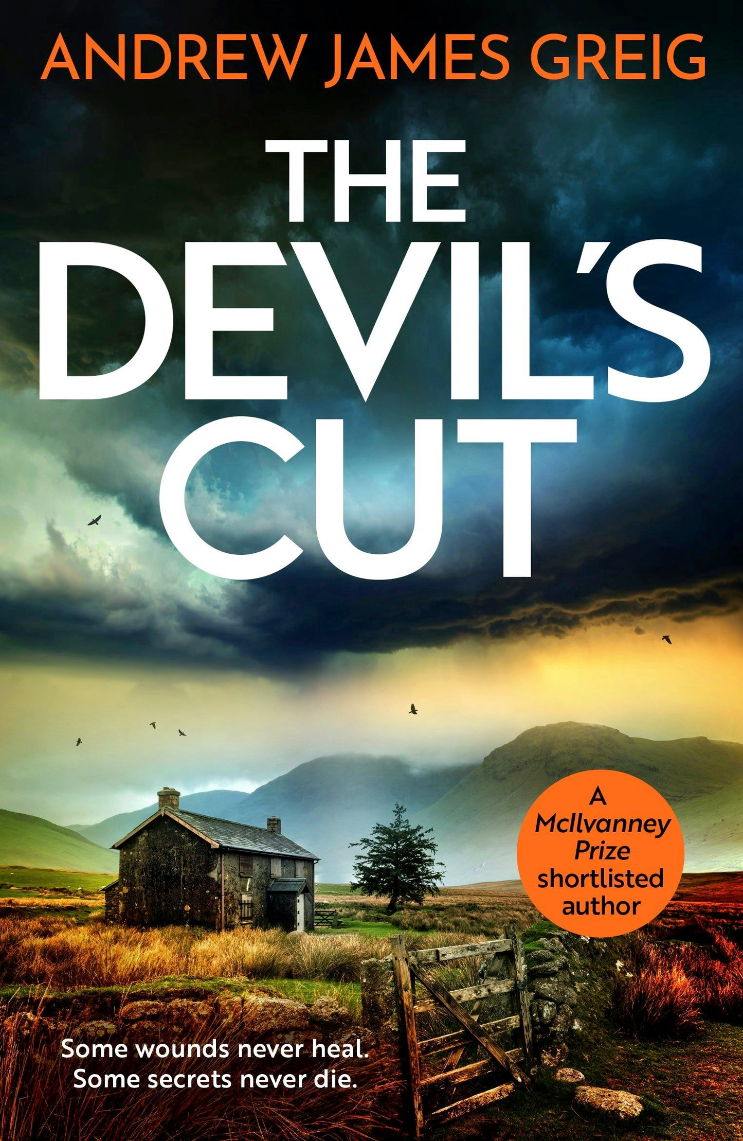 Book cover image for The Devil's Cut ISBN: 9781805089872