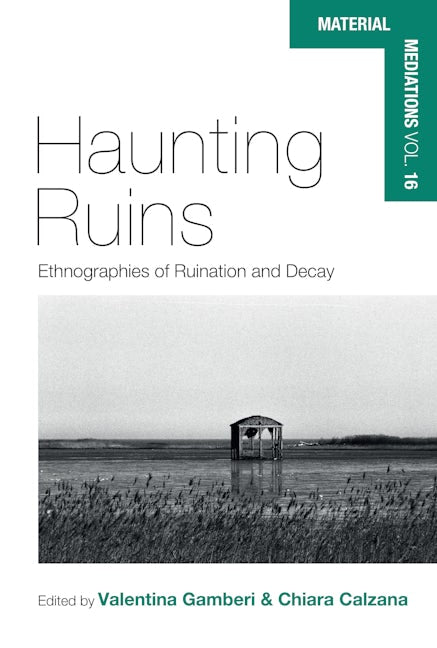 Book cover image for Haunting Ruins ISBN: 9781805398851