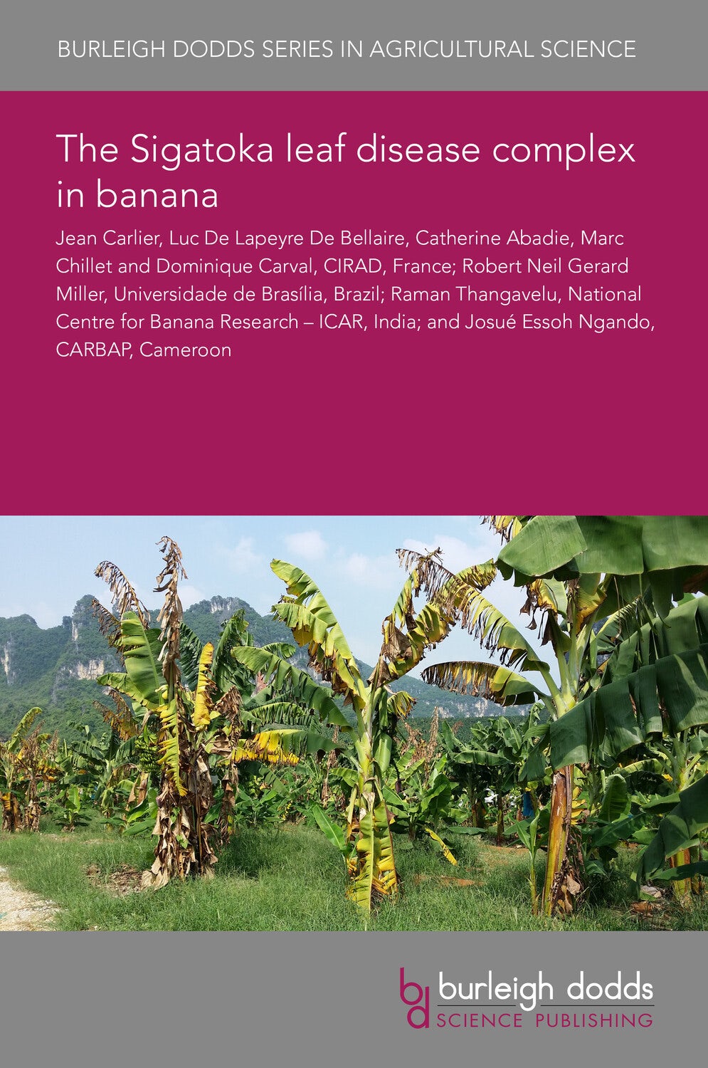 Book cover image for The Sigatoka leaf disease complex in banana ISBN: 9781835451007