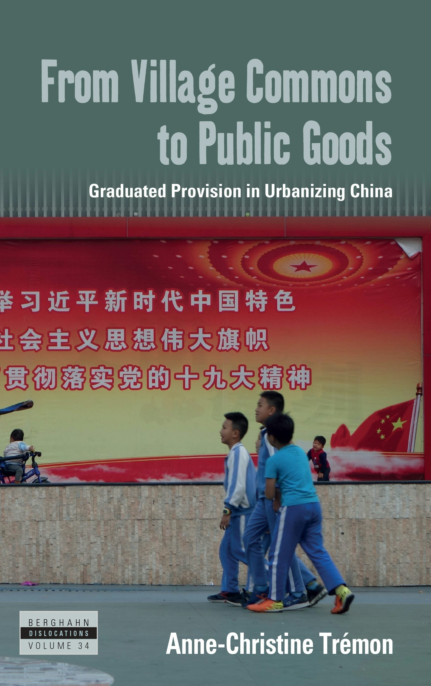 Book cover image for From Village Commons to Public Goods ISBN: 9781836951186