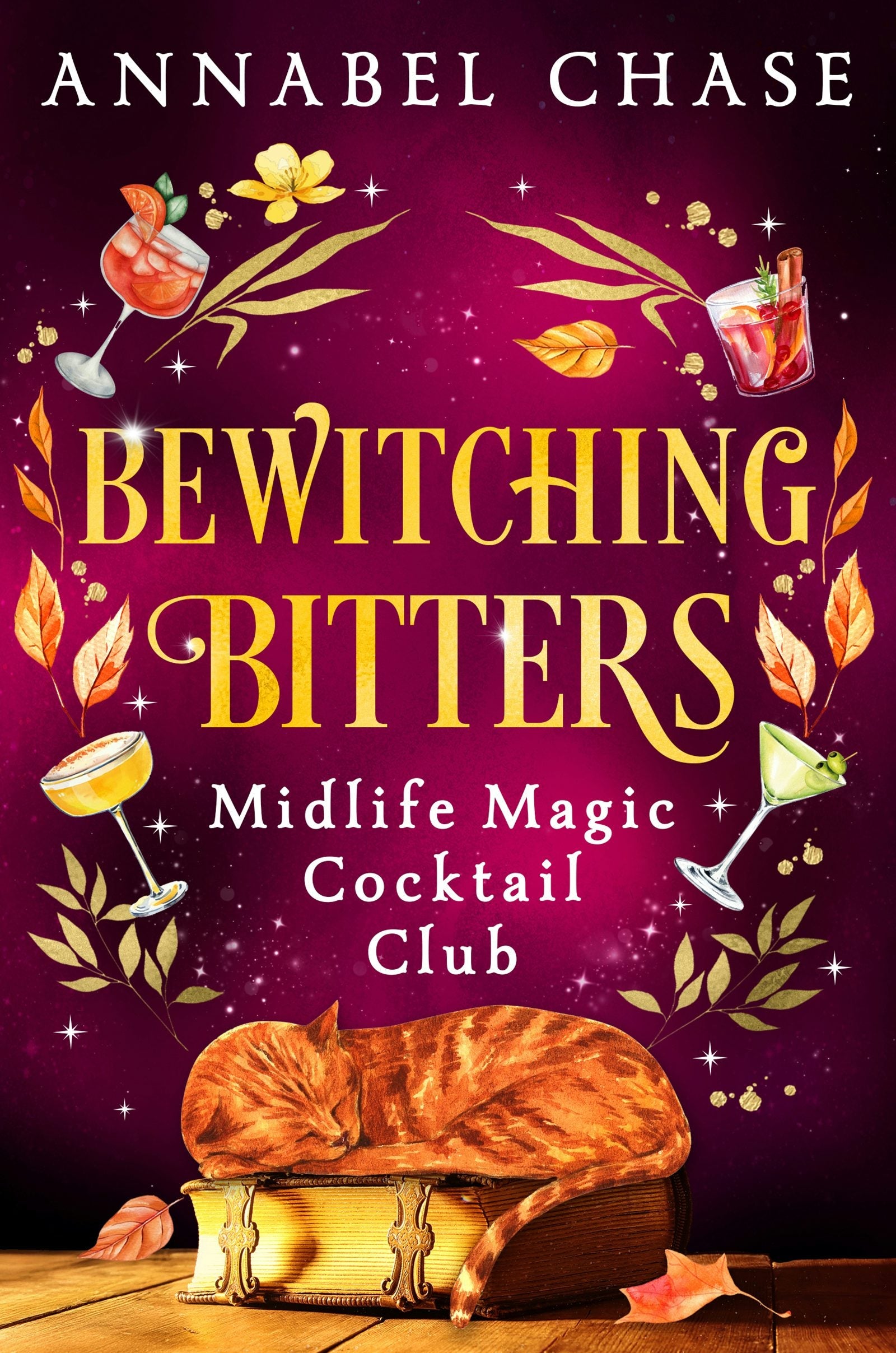 Book cover image for Bewitching Bitters ISBN: 9781837002016
