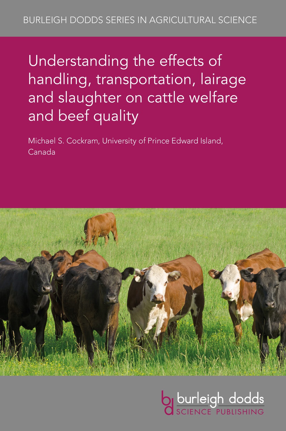 Book cover image for Understanding the effects of handling, transportation, lairage and slaughter on cattle welfare and beef quality ISBN: 9781838790370