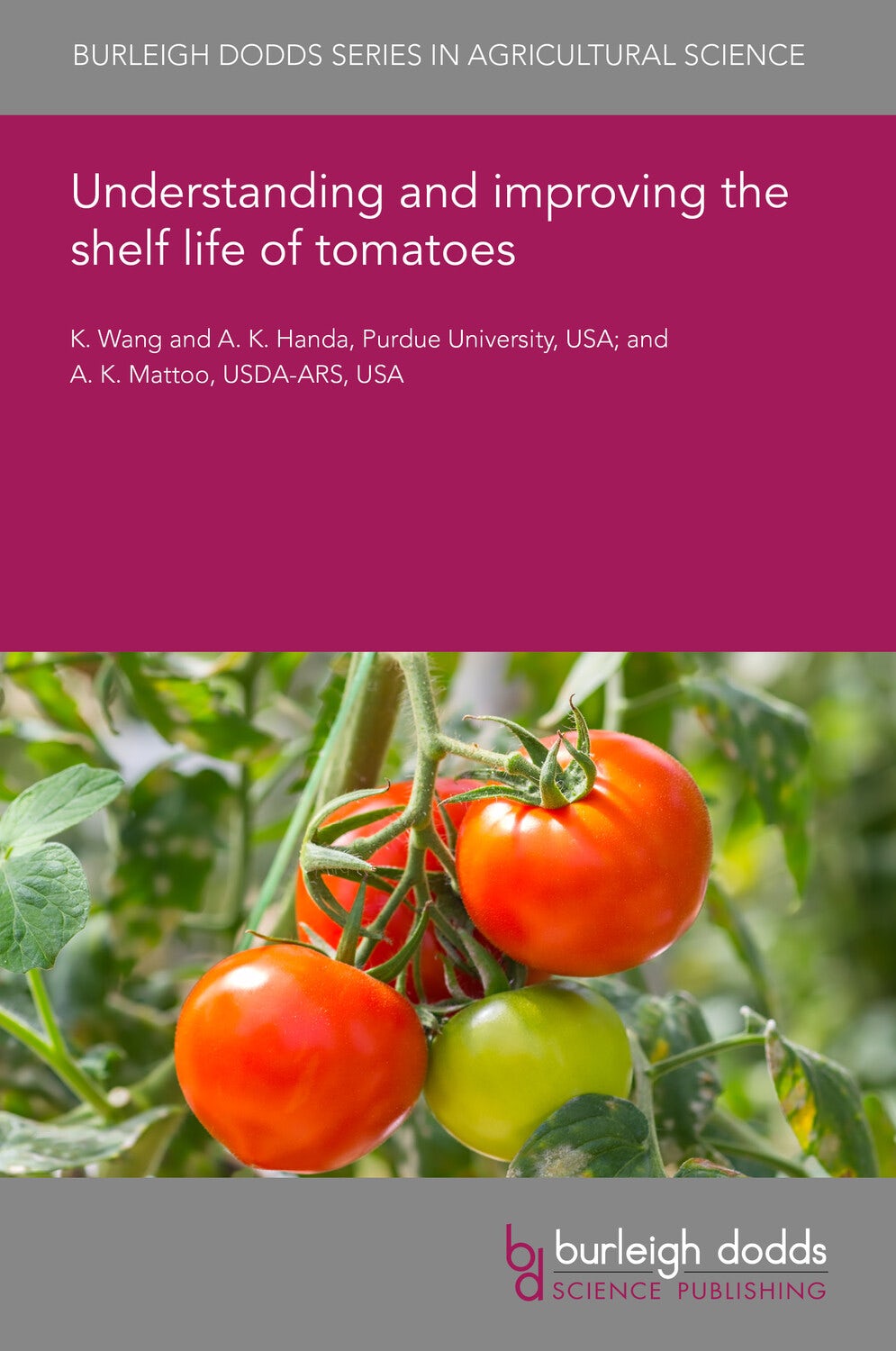 Book cover image for Understanding and improving the shelf life of tomatoes ISBN: 9781838792855
