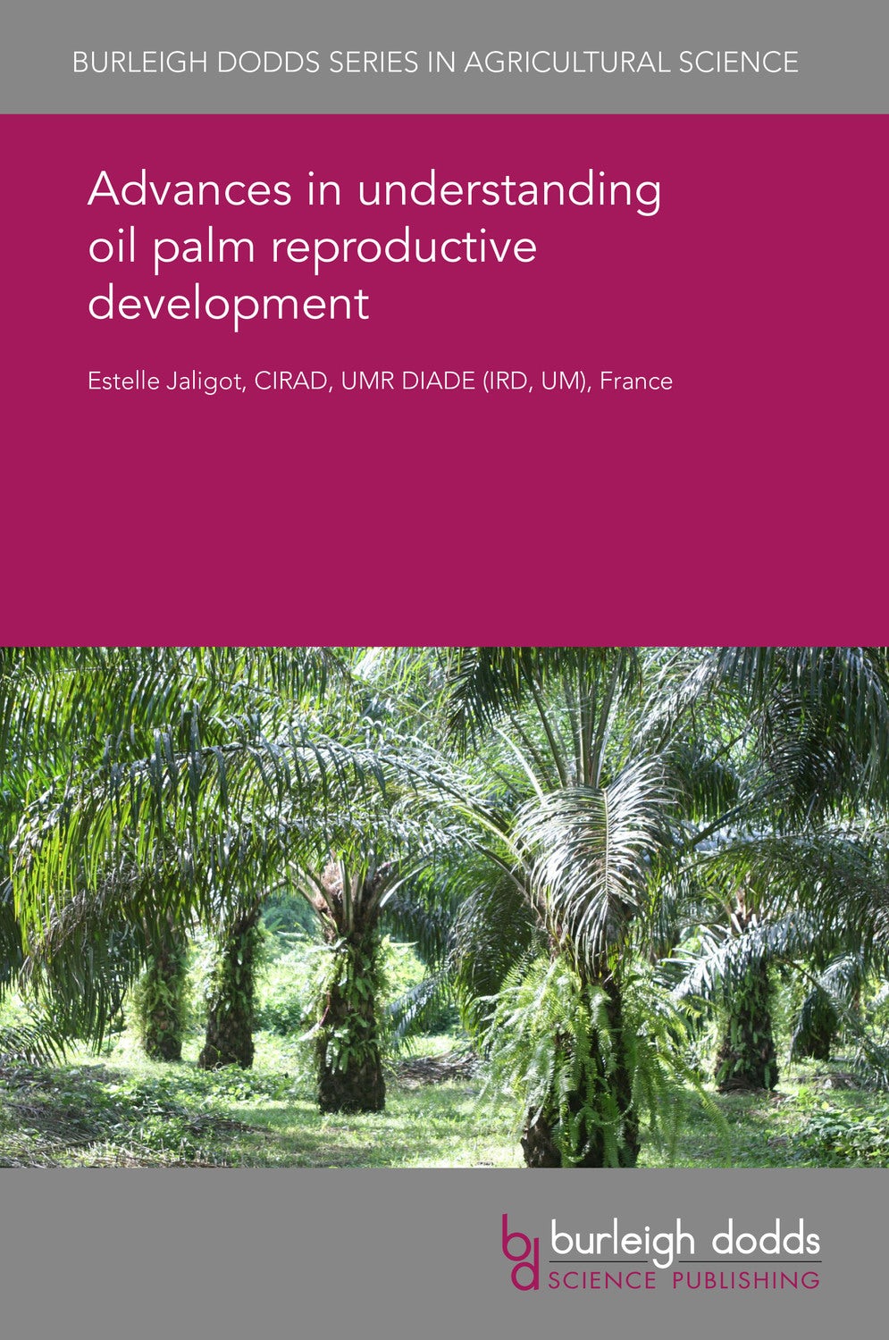 Book cover image for Advances in understanding oil palm reproductive development ISBN: 9781838794637
