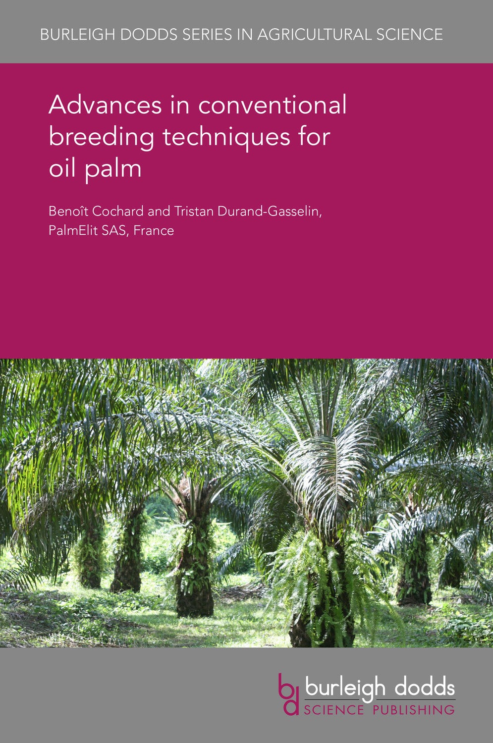 Book cover image for Advances in conventional breeding techniques for oil palm ISBN: 9781838794651