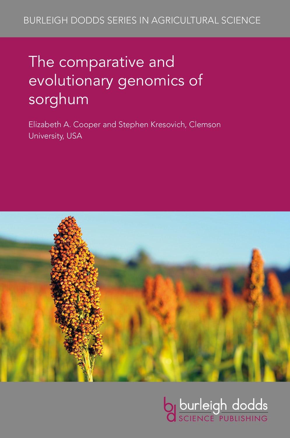 Book cover image for The comparative and evolutionary genomics of sorghum ISBN: 9781838795313
