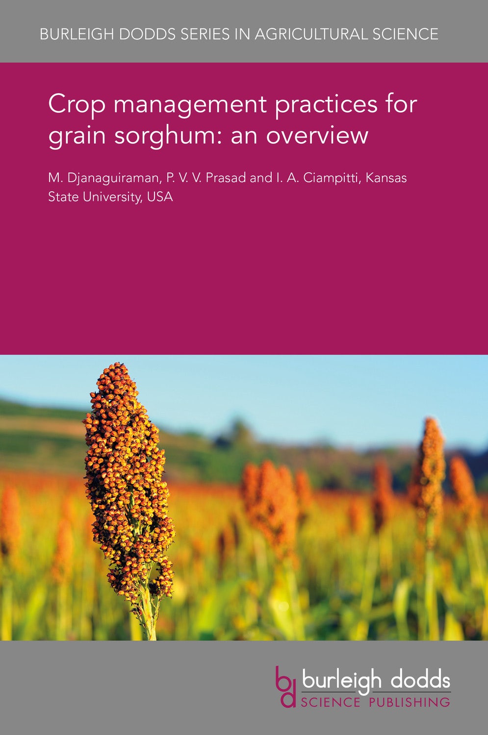 Book cover image for Crop management practices for grain sorghum: an overview ISBN: 9781838795399