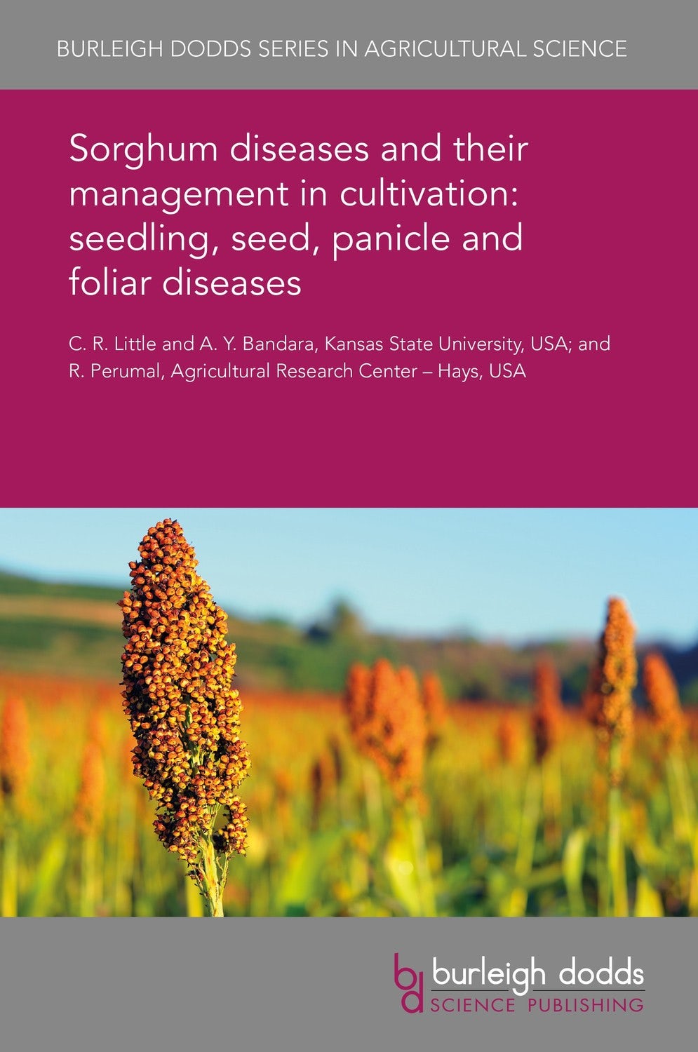 Book cover image for Sorghum diseases and their management in cultivation: seedling, seed, panicle and foliar diseases ISBN: 9781838795436