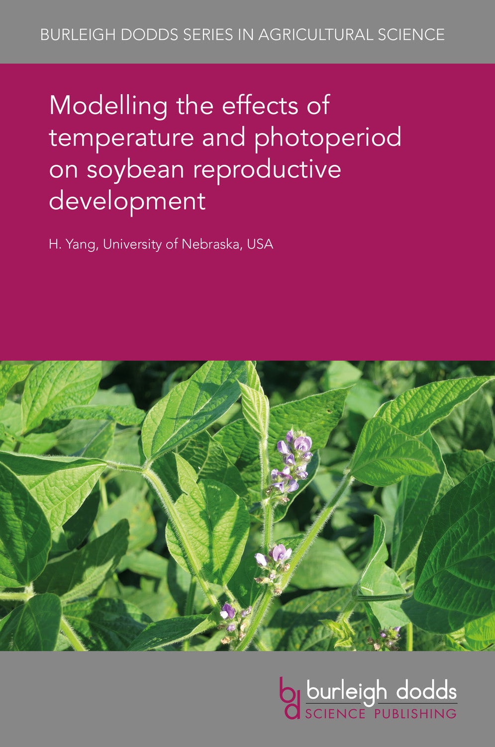 Book cover image for Modelling the effects of temperature and photoperiod on soybean reproductive development ISBN: 9781838795634