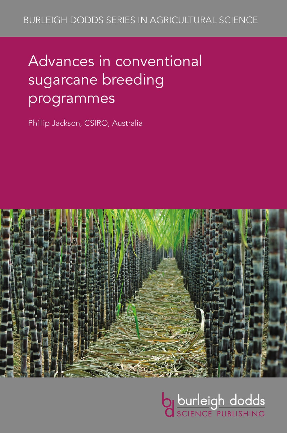Book cover image for Advances in conventional sugarcane breeding programmes ISBN: 9781838795825