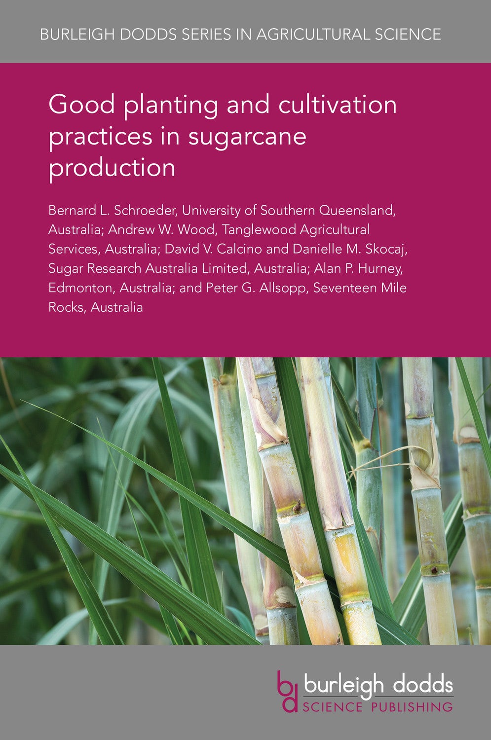 Book cover image for Good planting and cultivation practices in sugarcane production ISBN: 9781838795870