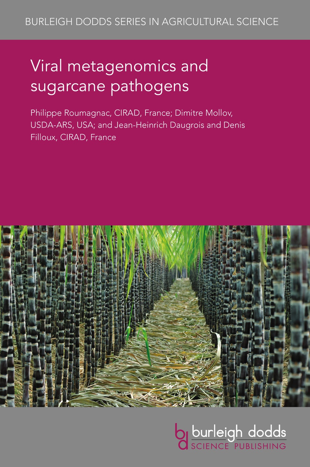 Book cover image for Viral metagenomics and sugarcane pathogens ISBN: 9781838795979
