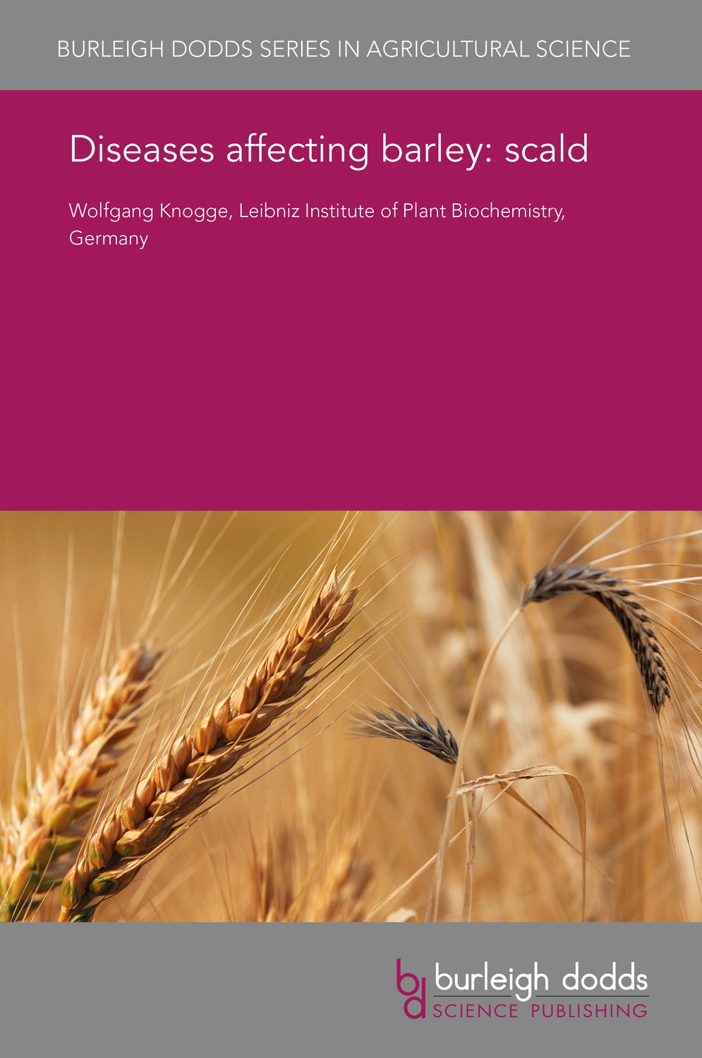 Book cover image for Diseases affecting barley: scald ISBN: 9781838797423